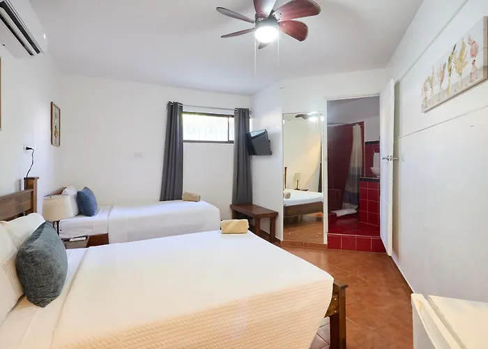 Hotel Perla De La Playa Beachfront *